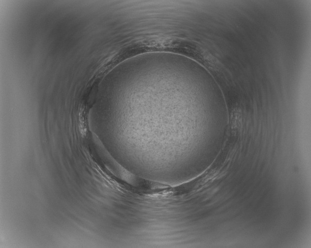 X0000052631202200507081930