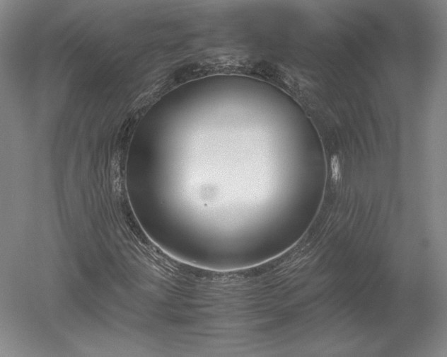 X0000052631203200507081930