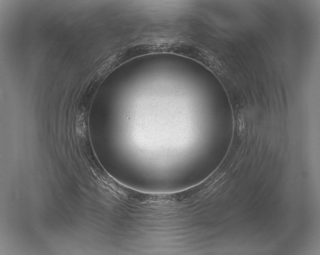 X0000052631204200507081930