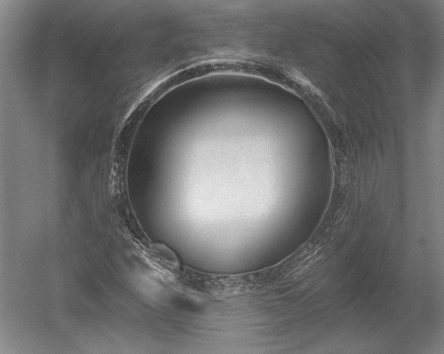 X0000052631208200507081930