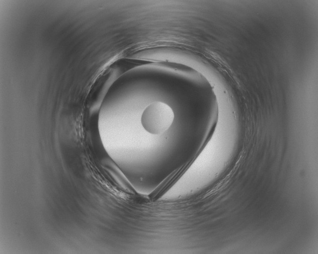 X0000052631210200507081930