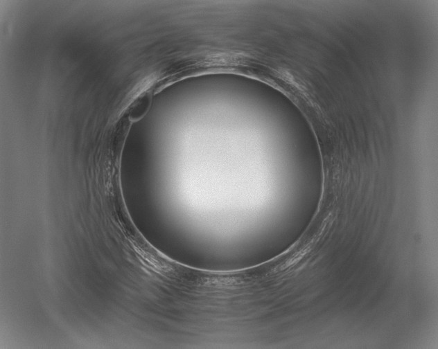X0000052631211200507081930