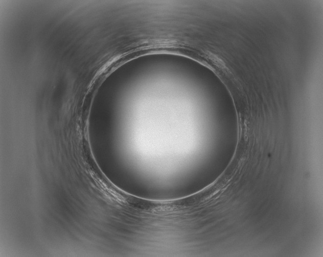 X0000052631212200507081930