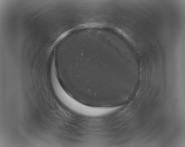 X0000052631213200507081930