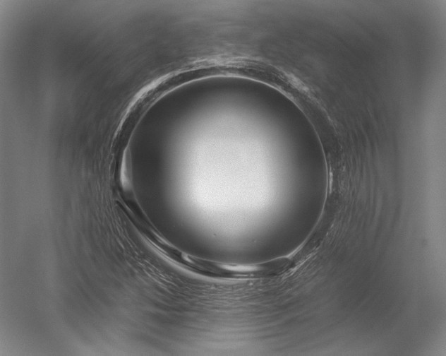 X0000052631214200507081930