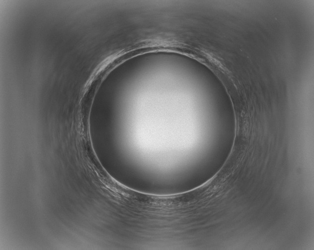 X0000052631215200507081930