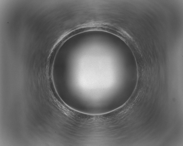 X0000052631216200507081931