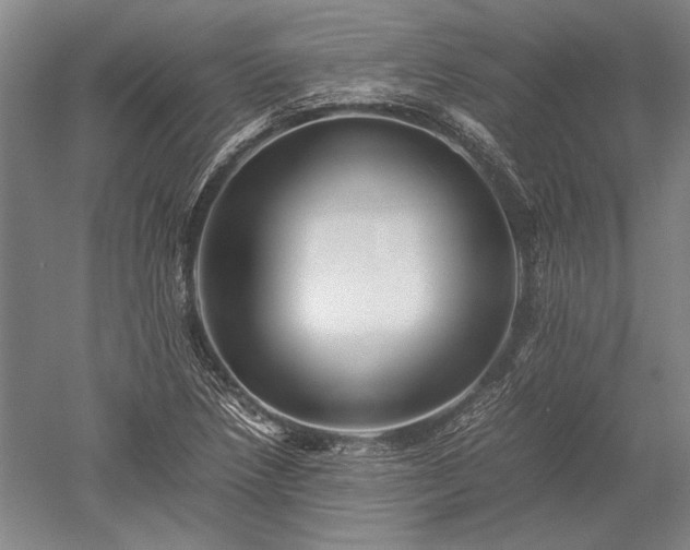 X0000052631218200507081931