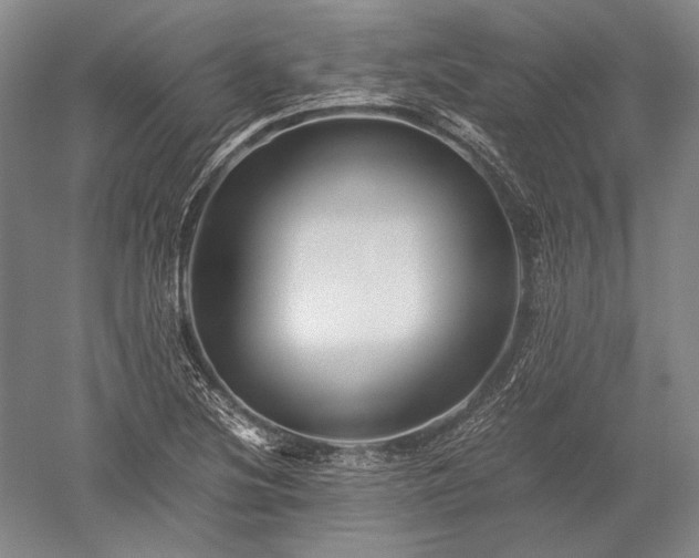 X0000052631220200507081931