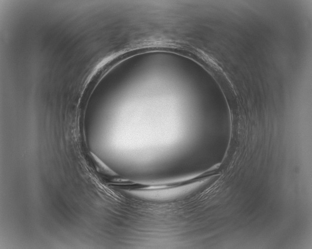 X0000052631222200507081931