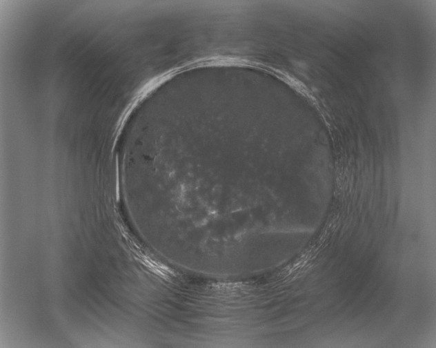 X0000052631223200507081931