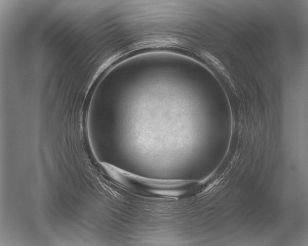X0000052631226200507081931