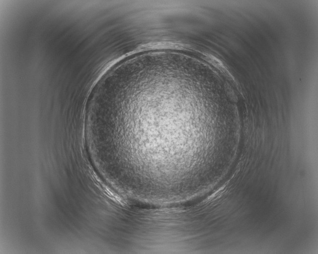 X0000052631228200507081931