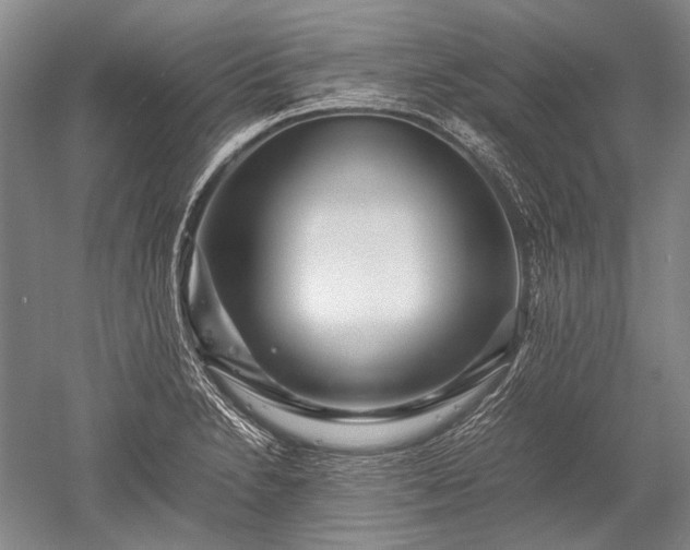 X0000052631230200507081931