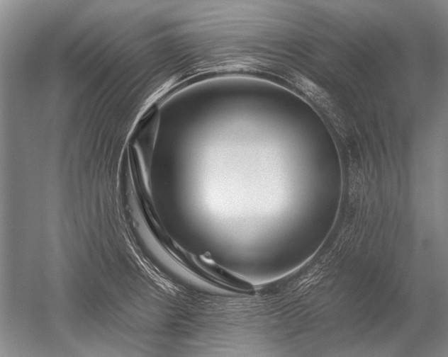 X0000052631234200507081931