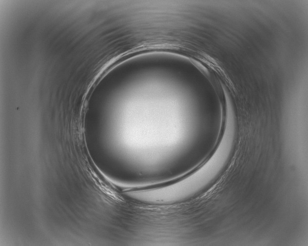 X0000052631236200507081931