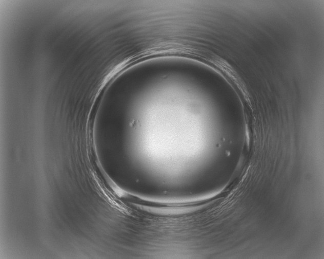 X0000052631242200507081931