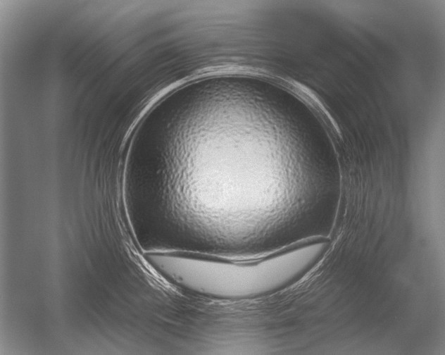 X0000052631244200507081931