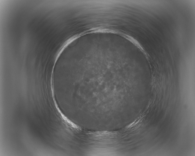 X0000052631247200507081931