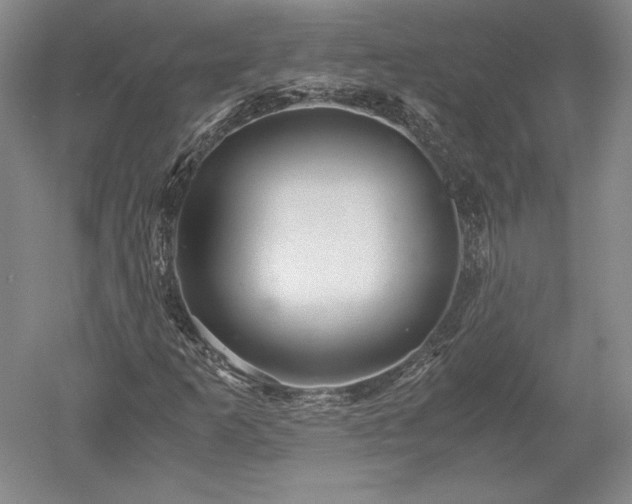 X0000052631253200507081930