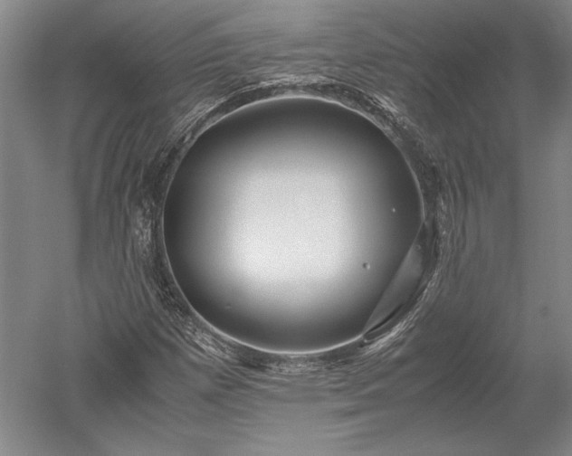 X0000052631257200507081930