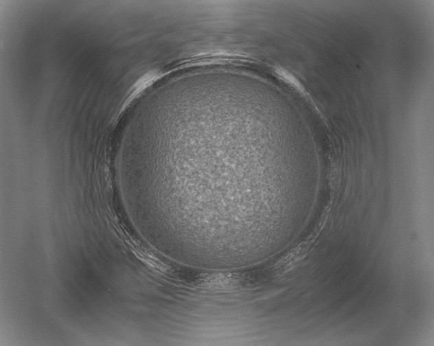 X0000052631259200507081930