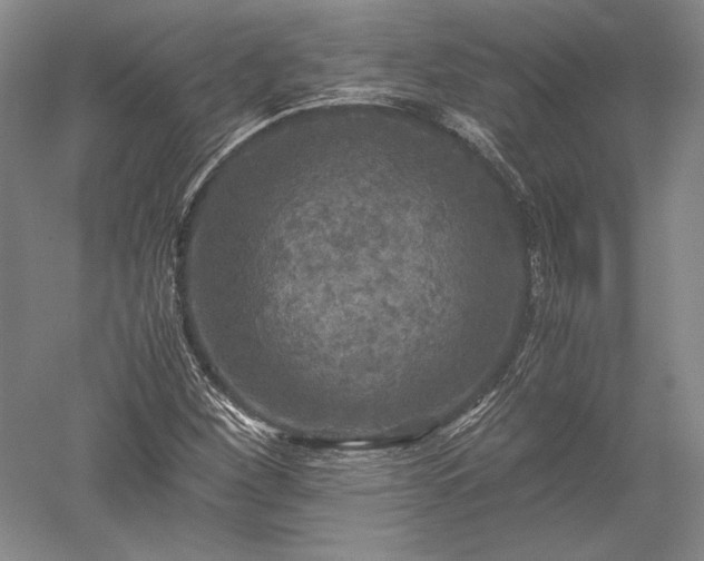X0000052631260200507081930
