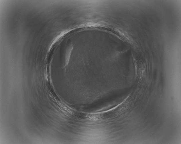 X0000052631262200507081930