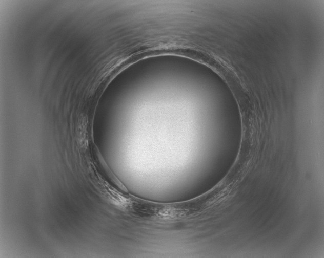 X0000052631265200507081930