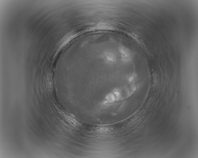 X0000052631266200507081930