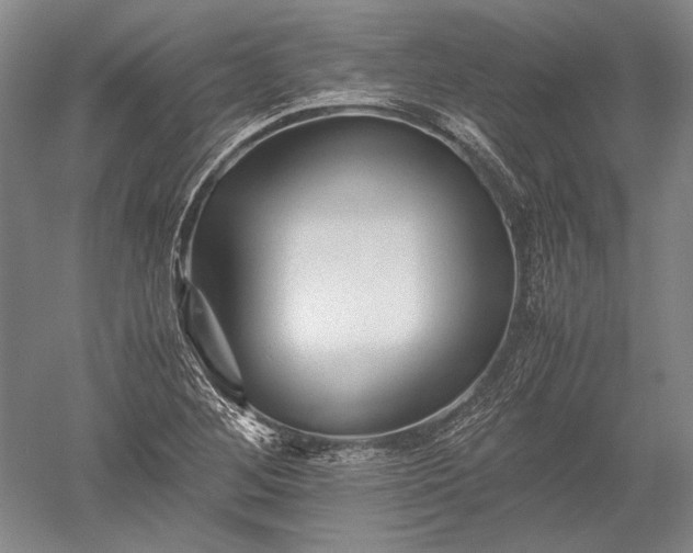 X0000052631268200507081930