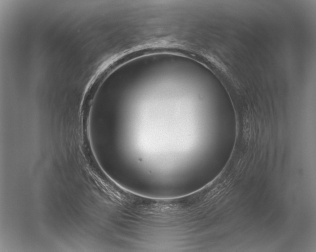 X0000052631270200507081930