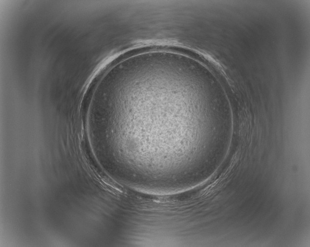 X0000052631271200507081930