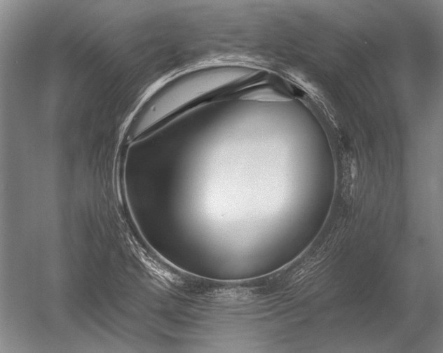 X0000052631272200507081930