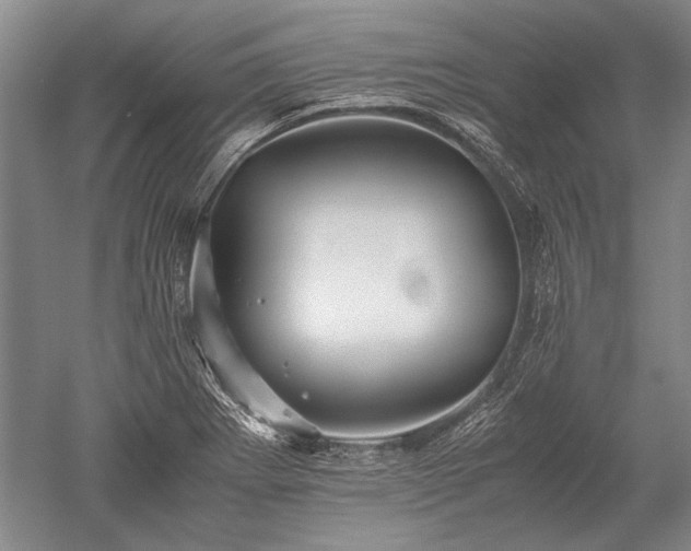 X0000052631273200507081930
