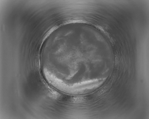 X0000052631274200507081930