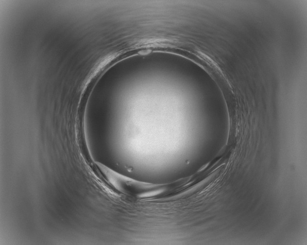X0000052631277200507081930