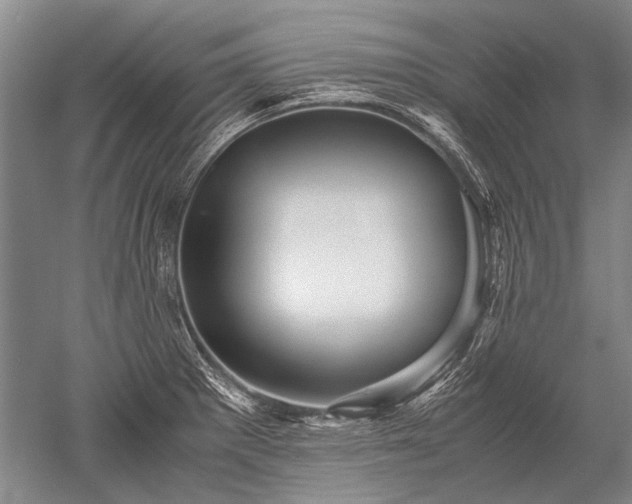 X0000052631281200507081930