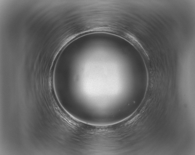 X0000052631284200507081930