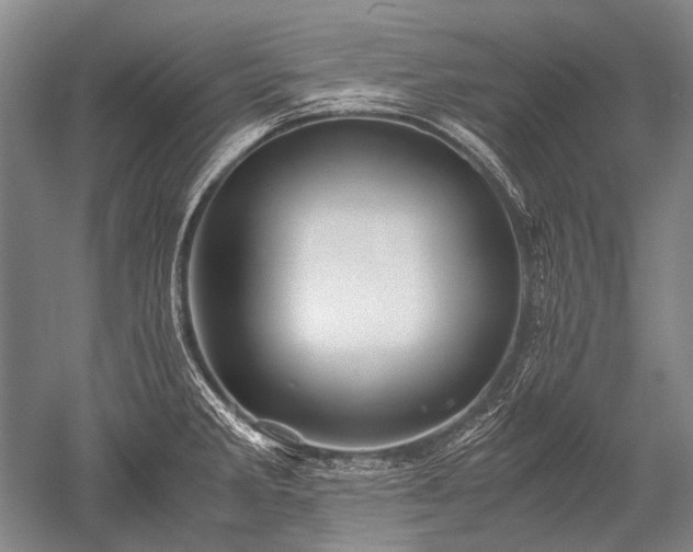 X0000052631285200507081930