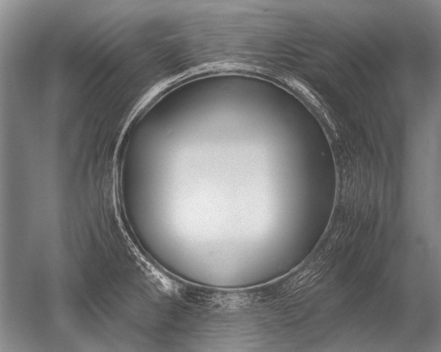 X0000052631286200507081930