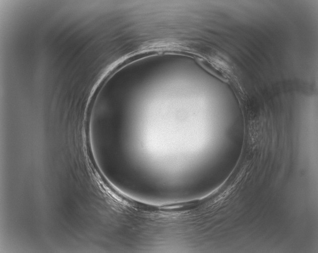 X0000052631288200507081930
