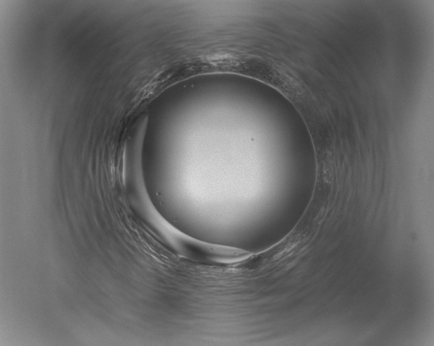 X0000052631298200507081929
