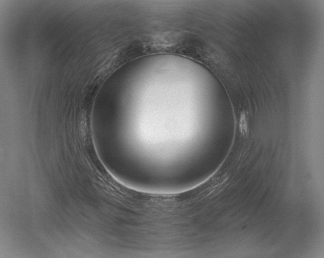 X0000052631299200507081929