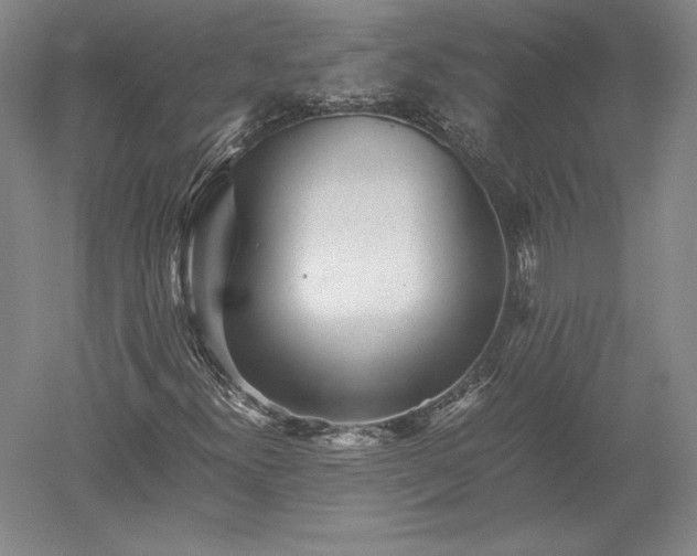 X0000052631300200507081929