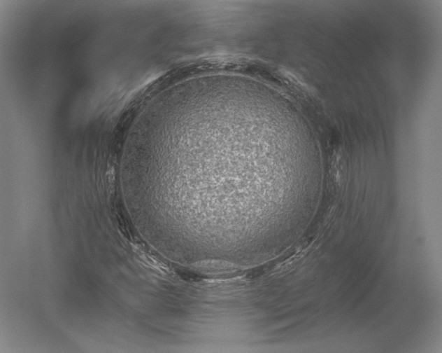 X0000052631302200507081929