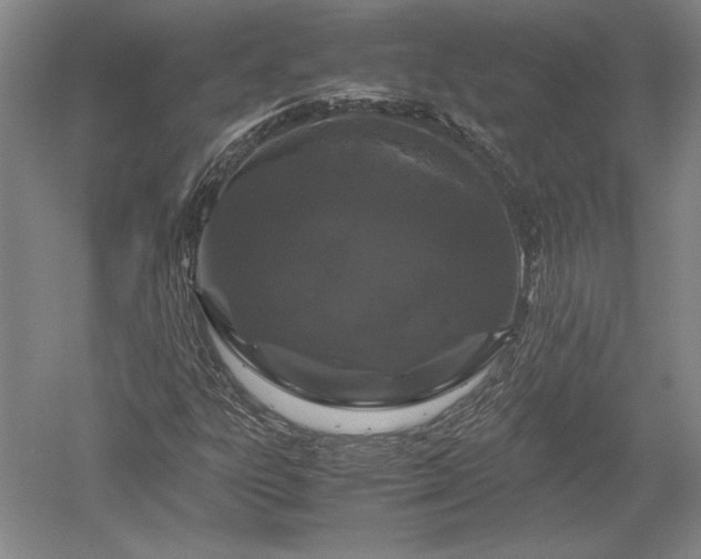 X0000052631303200507081929