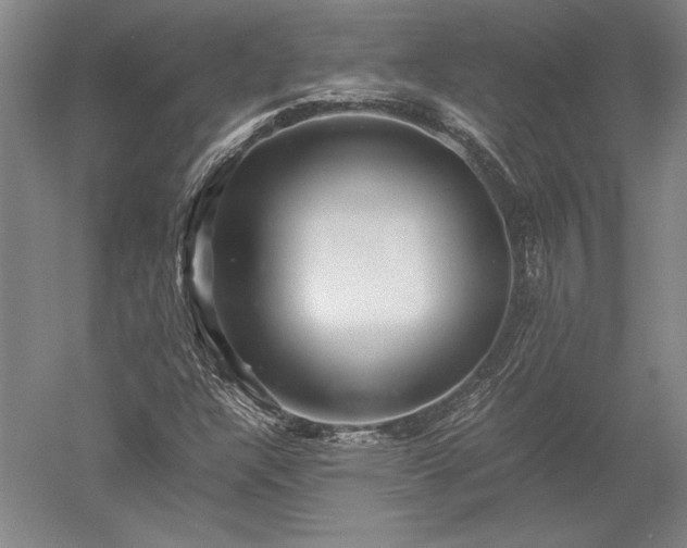 X0000052631304200507081929