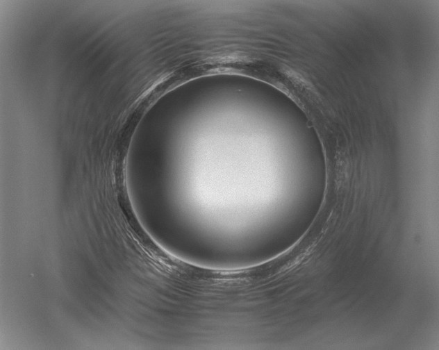X0000052631305200507081929