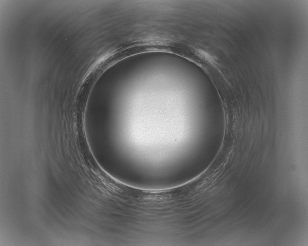 X0000052631307200507081929